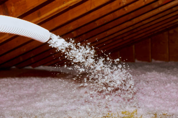 Best Insulation Contractors for Homes  in Cleveland, NC