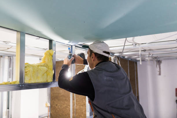 Best Cellulose Insulation  in Cleveland, NC