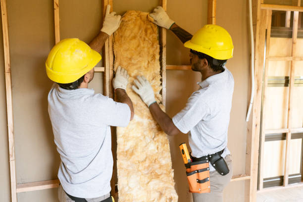 Best Insulation Contractors for Homes  in Cleveland, NC