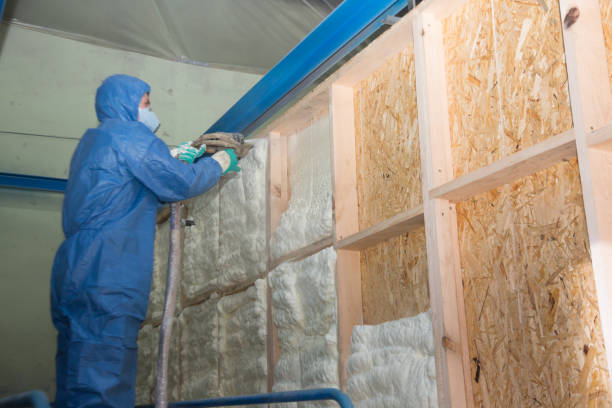 Best Blown-in Insulation  in Cleveland, NC